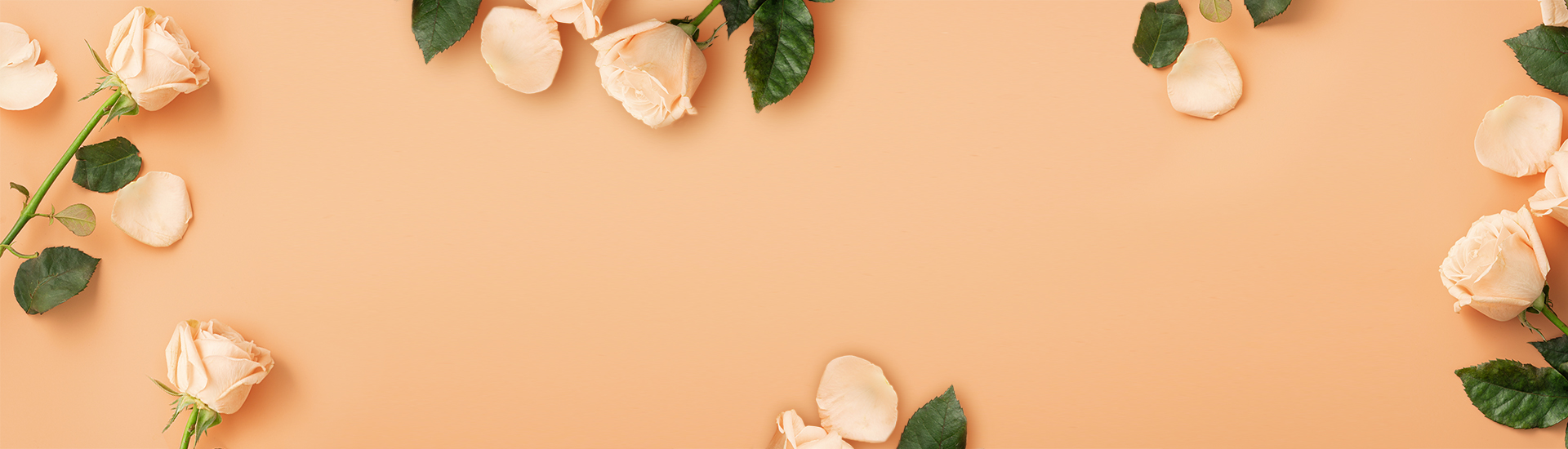 title-background